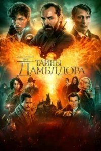Постер Фантастические твари: Тайны Дамблдора, Fantastic Beasts 3 (2022)