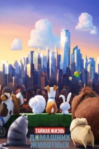 Постер Тайная жизнь домашних животных, The Secret Life of Pets (2016)