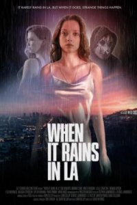 Постер Когда в Лос-Анджелесе идет дождь, When It Rains in LA (2025)