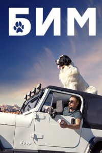 Постер БИМ 