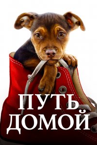 Постер Путь домой, A Dog's Way Home (2019)