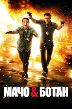 Мачо и ботан