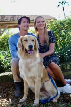 В поисках любви