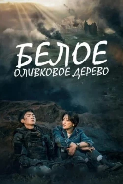 Белое оливковое дерево